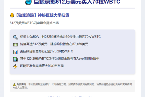 巨鲸豪掷612万美元买入70枚WBTC