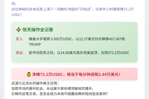 鲸鱼快进快出TRUMP获利73万美元