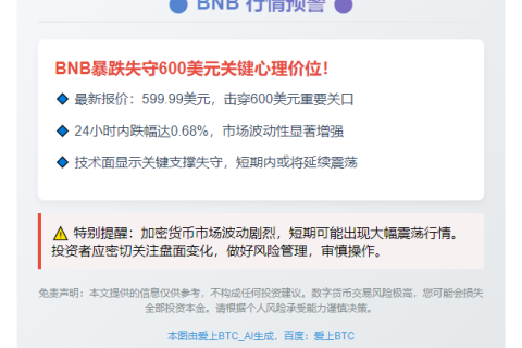 BNB跌破600美元