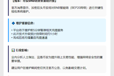 BNB Smart Chain钱包维护公告