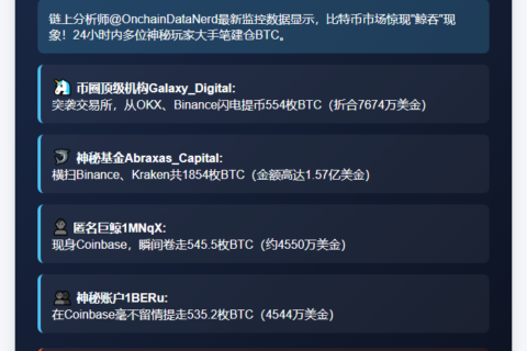 鲸鱼大举囤积BTC