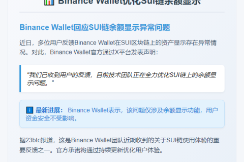 Binance Wallet优化Sui链余额显示