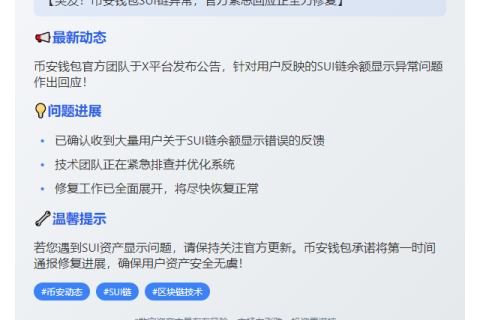 Binance Wallet优化Sui链余额显示