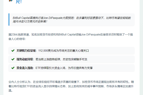 比特币或数周内突破12万美元