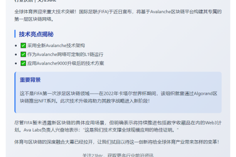 国际足联在雪崩链上建区块链