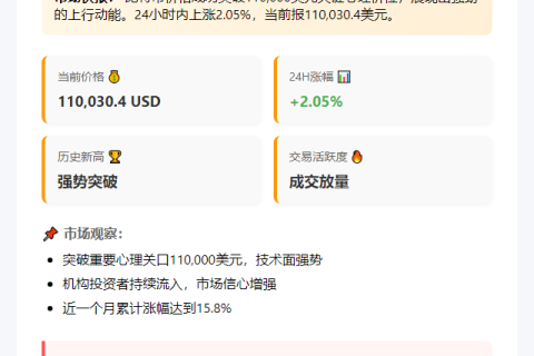 比特币创新高破11万美元