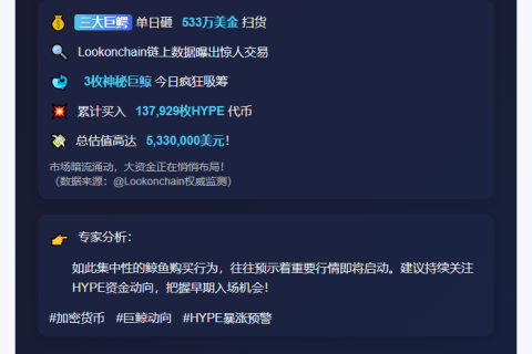 巨鲸狂扫13万HYPE