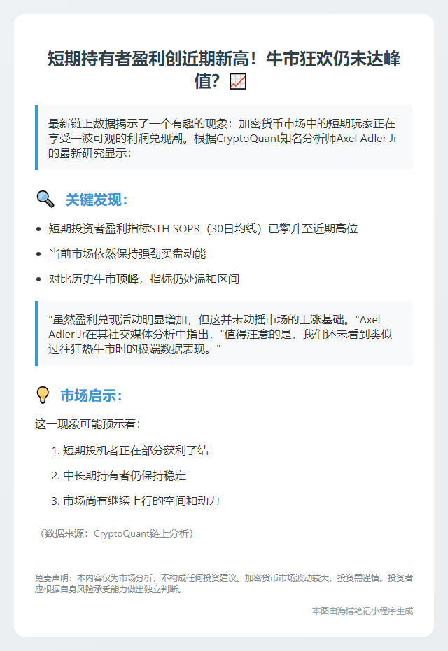 短期持币者盈利触顶，但未达牛市峰点