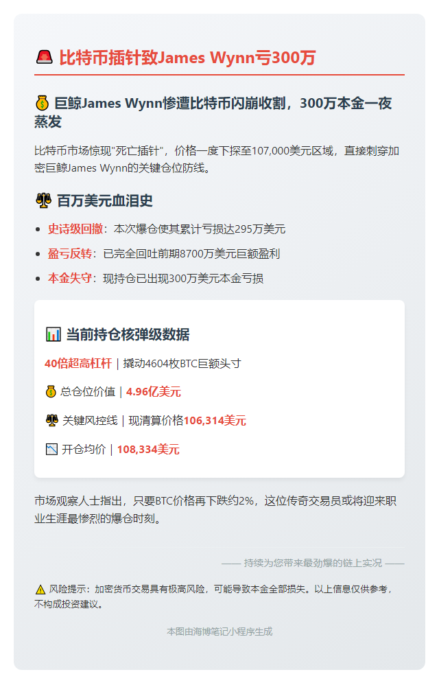 比特币插针致James Wynn亏300万