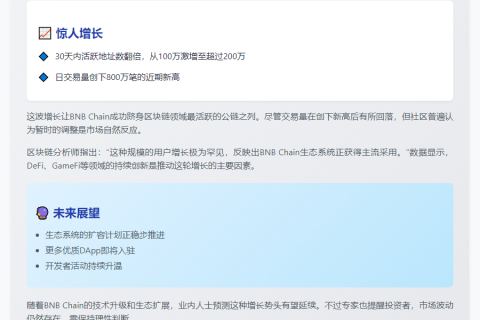 BNB Chain活跃地址30天翻倍破200万