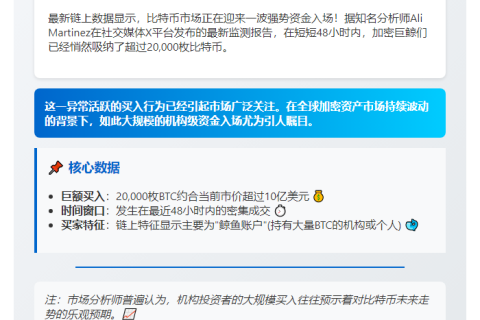 鲸鱼48小时狂买2万枚BTC