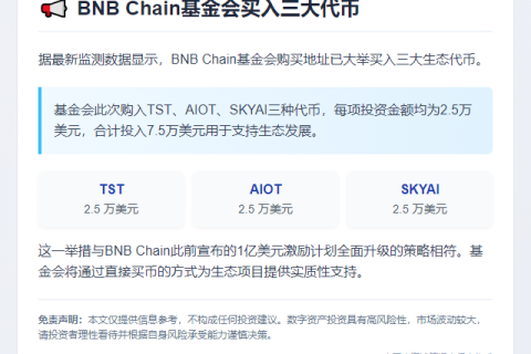 BNB Chain基金买TST、AIOT、SKYAI代币