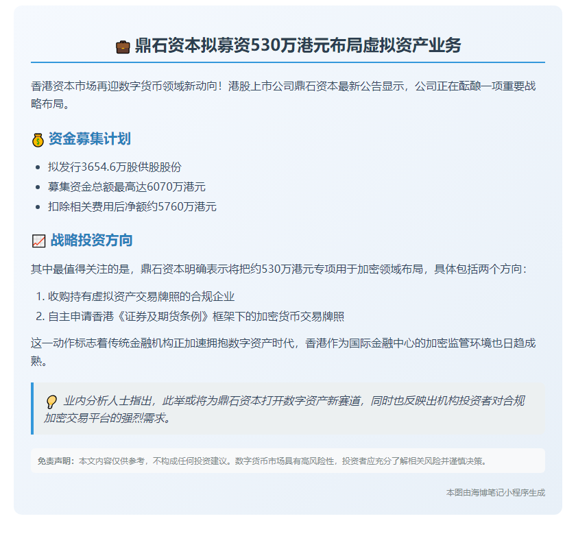 鼎石资本募资530万港元收购虚拟资产业务