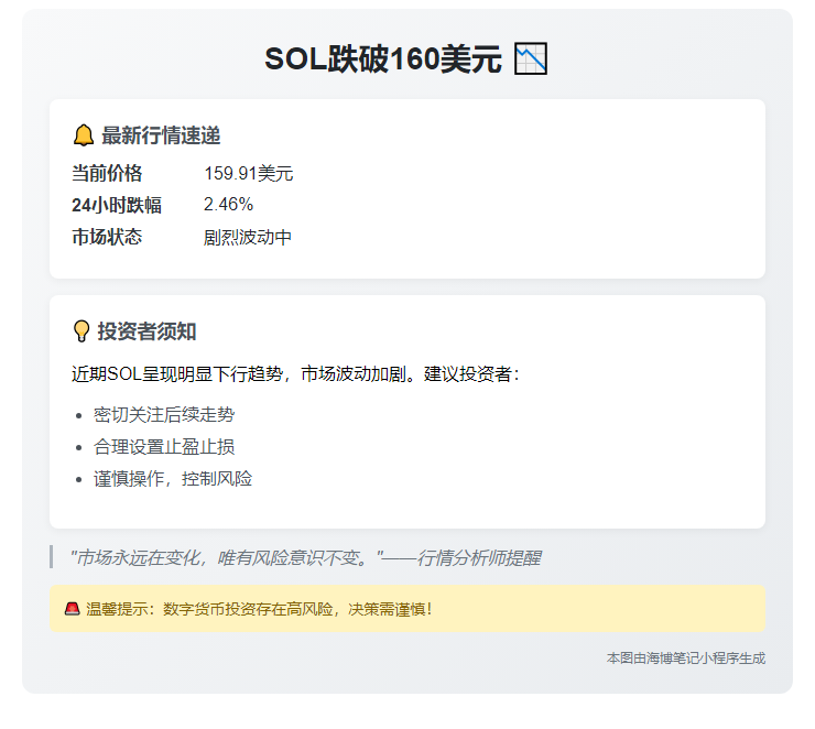 SOL跌破160美元