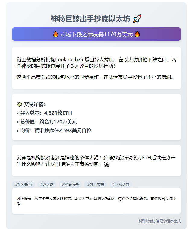 地址抄底4521枚ETH 均价2593美元