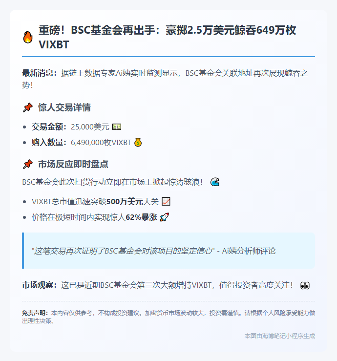 BSC基金再购649万枚VIXBT 耗资2.5万