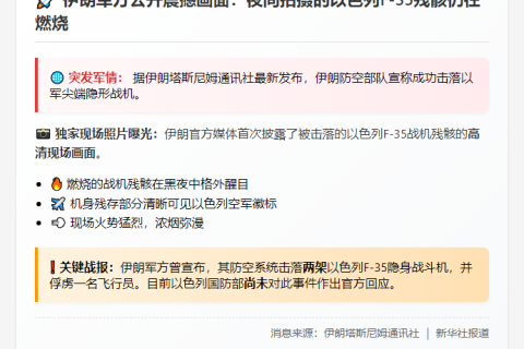 伊朗公布以军F-35残骸照