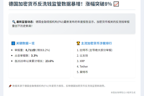 德国加密反洗钱活动2024年增8%