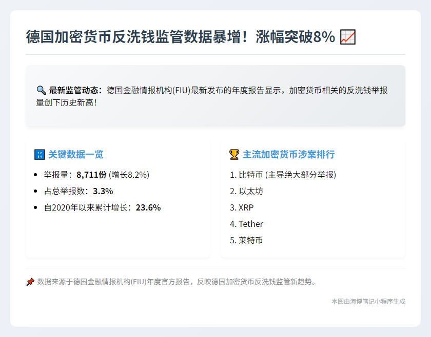 德国加密反洗钱活动2024年增8%