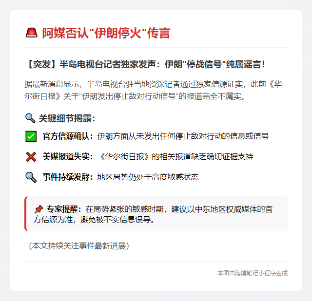 阿媒否认
