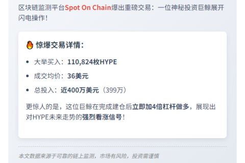 巨鲸斥资399万美元做多HYPE