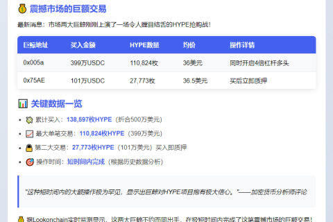 两鲸豪掷500万美金买入HYPE