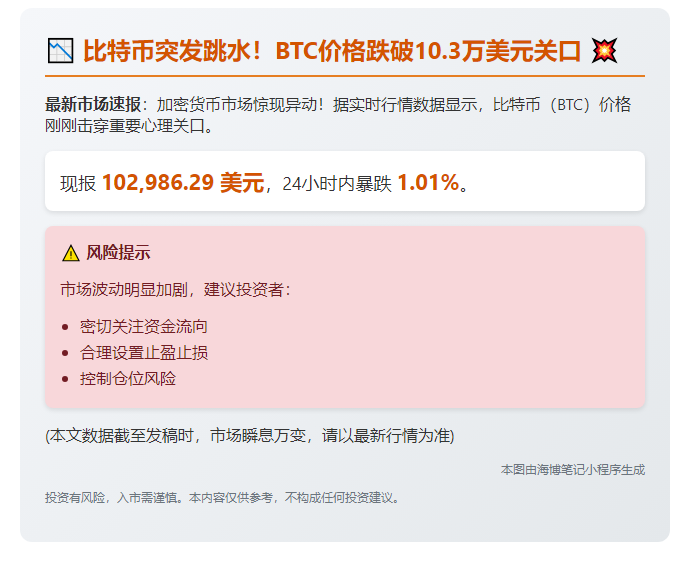 BTC跌破10.3万美元
