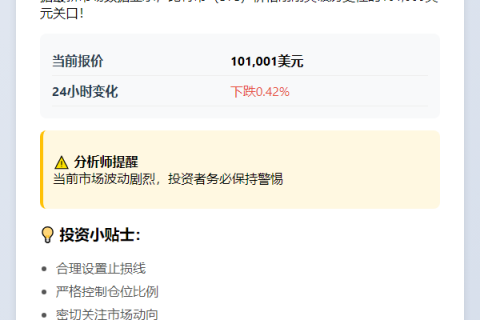 比特币破10.1万美元