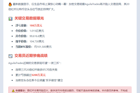 交易员186万美元亏损做空比特币