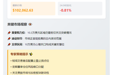 比特币冲上10.2万美元