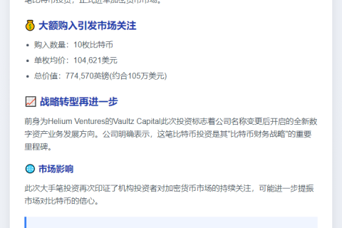 上市公司Vaultz Capital首购10枚BTC豪掷105万美元