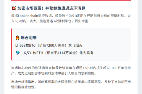 鲸鱼3天亏超千万 3小时再遭3次清算