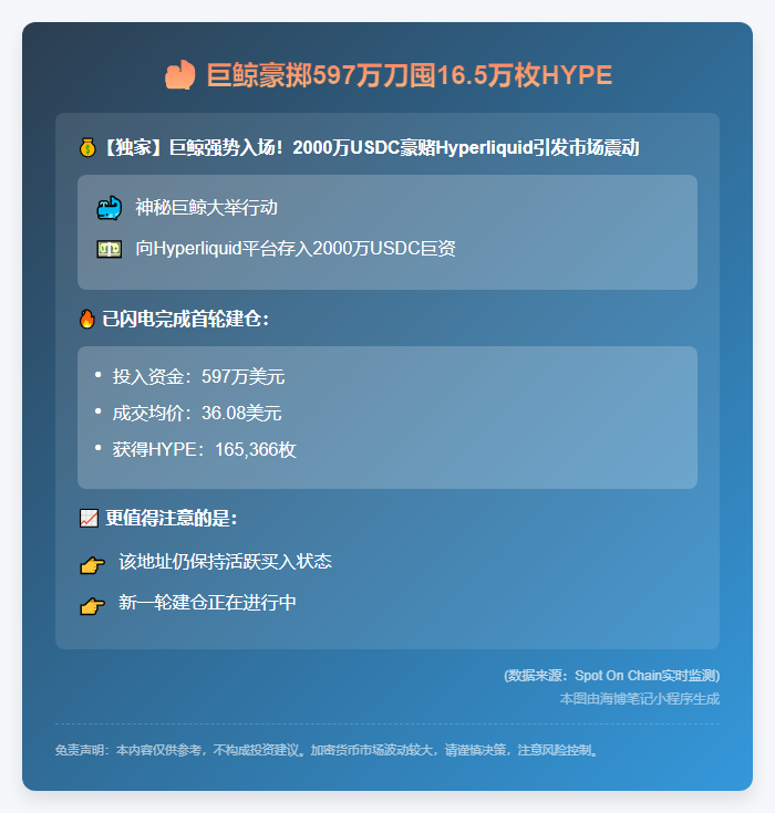 巨鲸豪掷597万刀囤16.5万枚HYPE