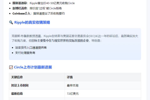Ripple CEO否认收购Circle计划