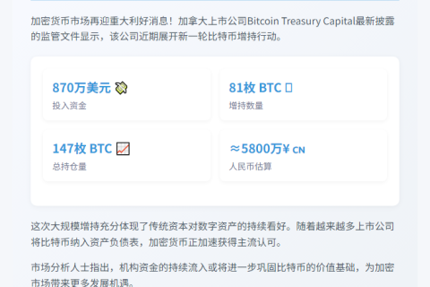 加股Bitcoin Treasury增持81枚BTC