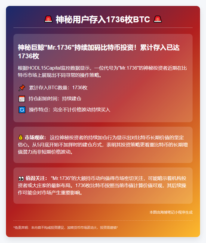 神秘用户存入1736枚BTC