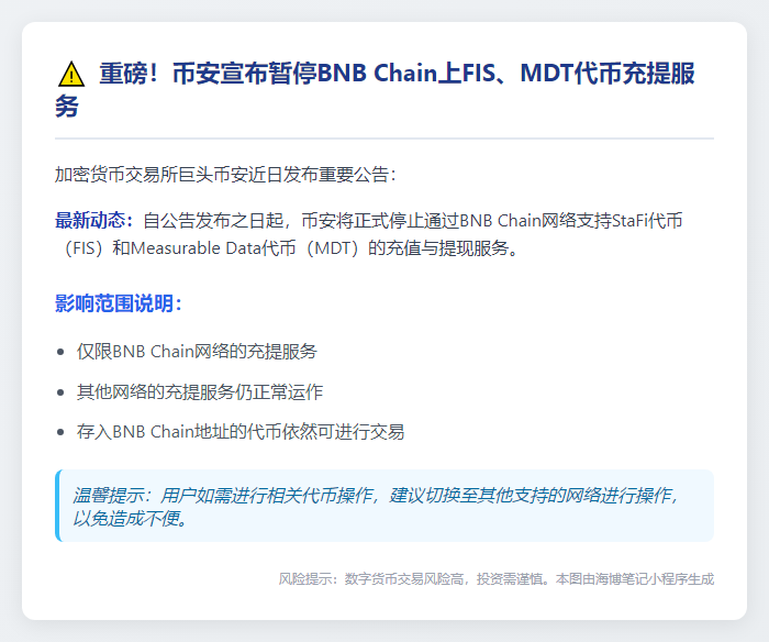 Binance暂停BNB链FIS、MDT充提