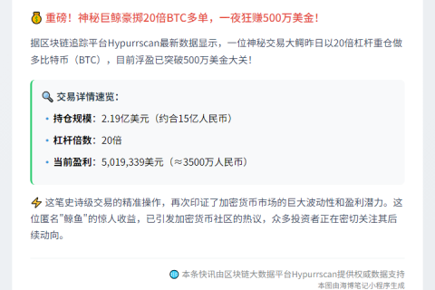 《巨鲸20倍BTC多单盈利502万》