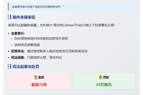 男子用加密货币资助恐袭，最高判10年
