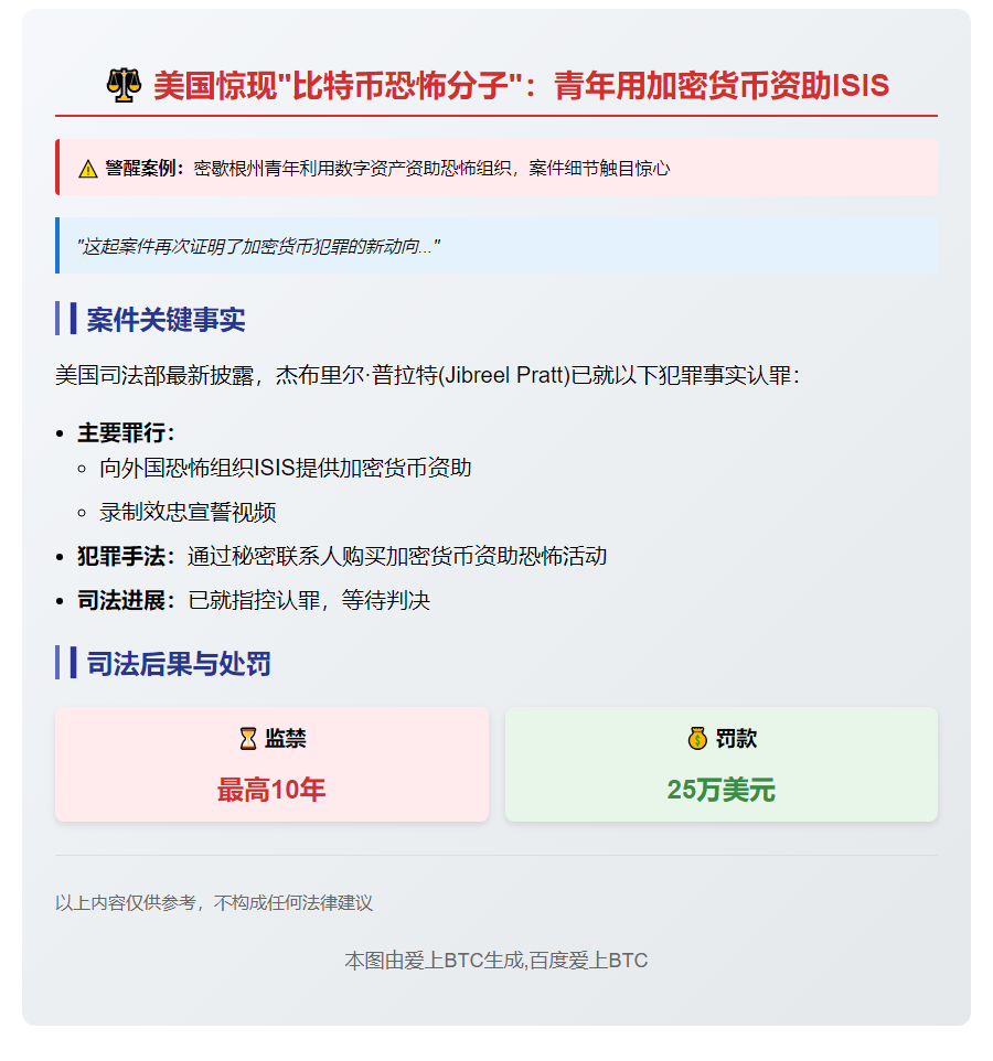 男子用加密货币资助恐袭，最高判10年