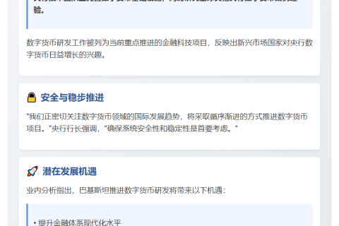 巴央行行长称正强化数字货币能力