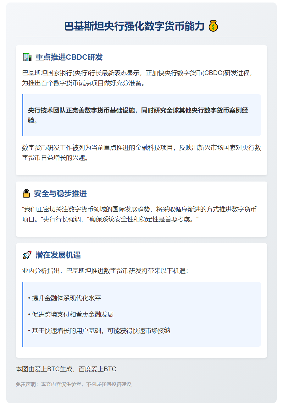 巴央行行长称正强化数字货币能力