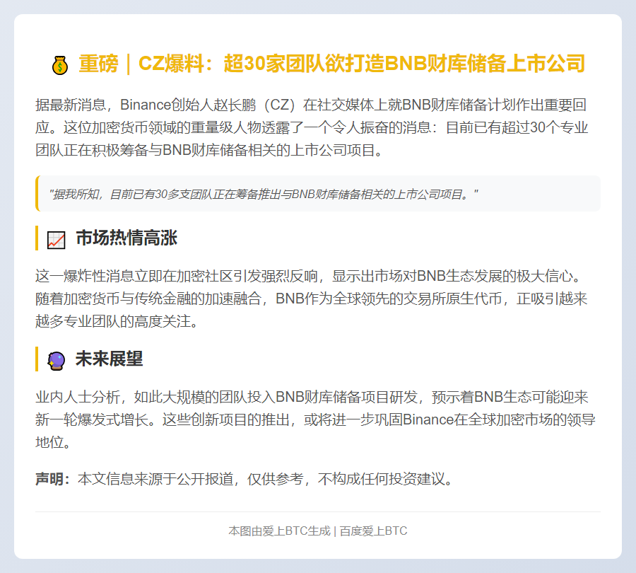 "超30团队筹备推出BNB财库储备上市公司项目"