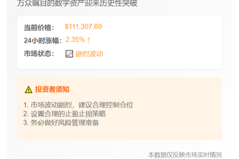 比特币破11.13万