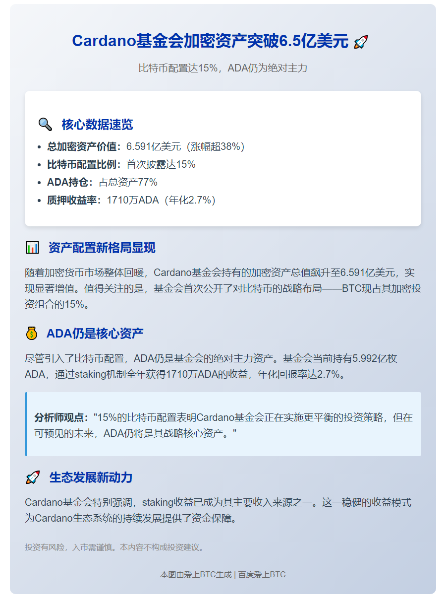 Cardano基金会持6.5亿加密资产