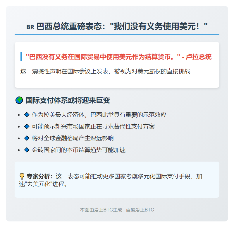 卢拉：贸易不必都用美元