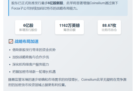 Coinsilium拟发6亿股增持比特币