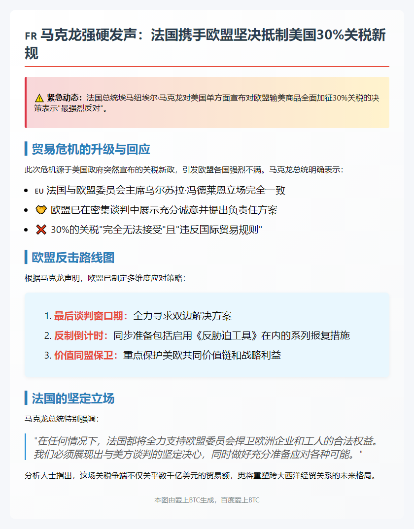 法总统