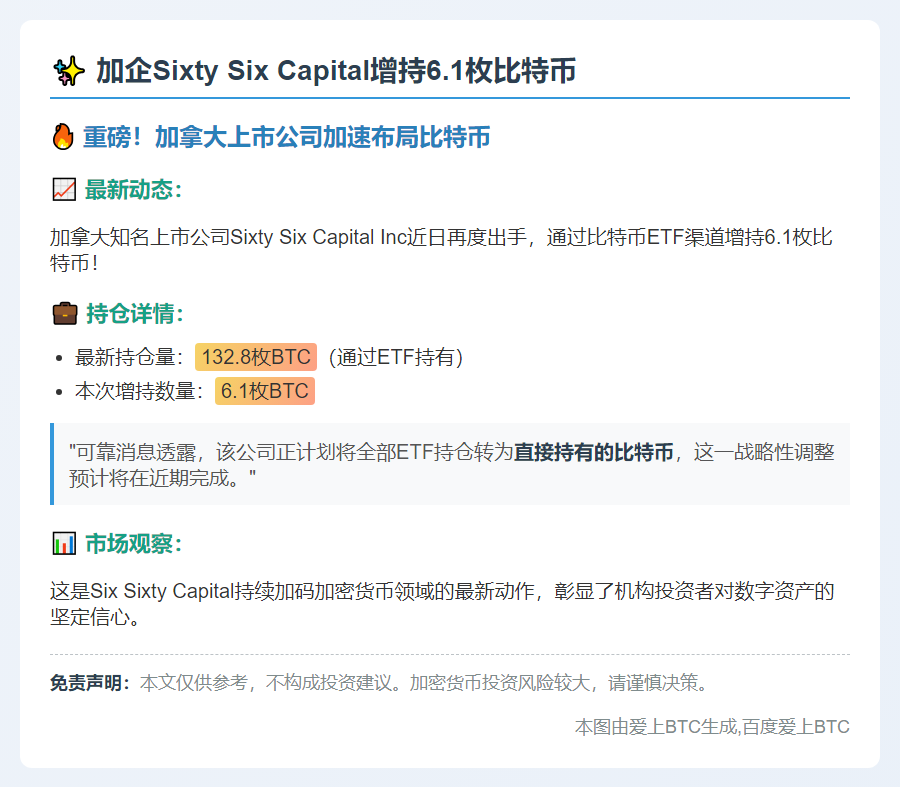 加企Sixty Six Capital增持6.1枚比特币