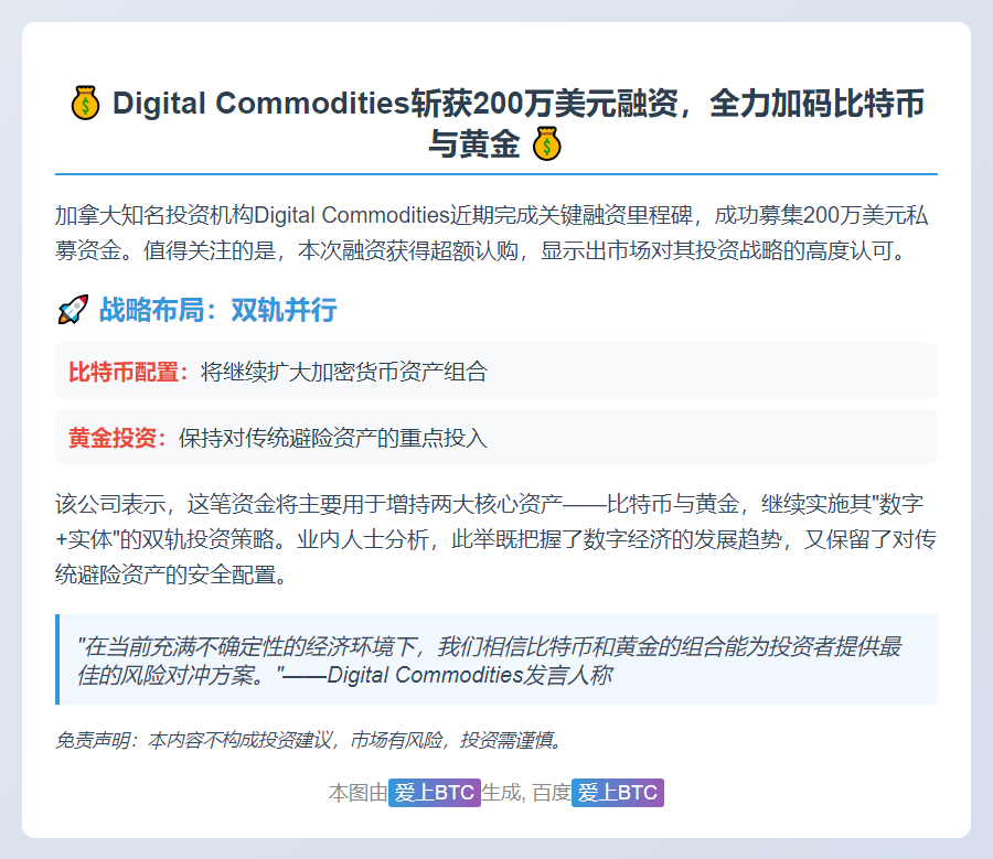 Digital Commodities获200万美元投资转向比特币和黄金